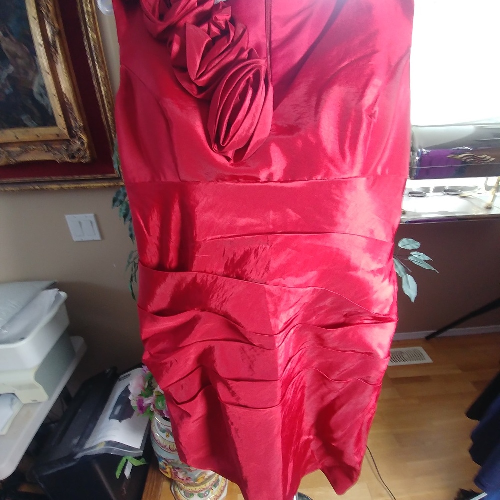 Red Rose Dinner Dress   JJ's House Size L